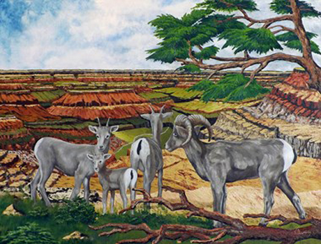 “Grand Canyon IV” – Carl Owen – Oil on Canvas – 30” x 40” – www.carlowenpaintings.com