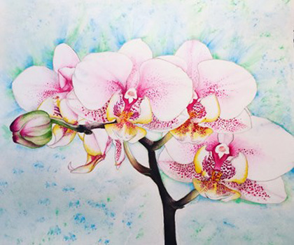 "Blushing Orchids", Catherine Martinez-Perez, Watercolor on 300lb watercolor paper, 31" x 28", $1,100, http://www.visualitydeperez.com/VDPStudios.html