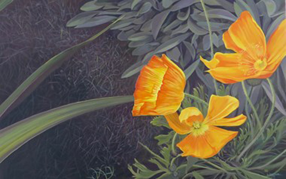 "Sunny Mystery", Hunter Jay, Acrylic on Canvas, 20" x 32", $1,320, http://www.wildernesscreekcreations.com/