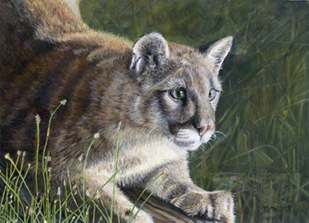 “Pounce!” - Cher Anderson - Acrylic on board - 14.675" x 10.5" - $636 - www.cherscreations.com