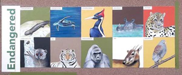 “Endangered” – Mary F. Vivo - Mixed on Cork Board - 13" x 30" - $875 - housculptures1202@gmail.com