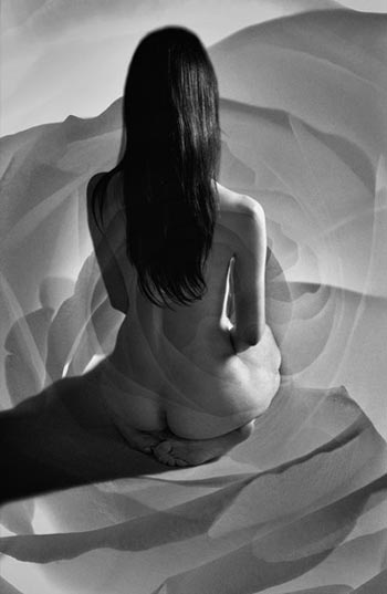 “Rose” – Adeline Sides - Archival Digital Print - 11" x 14" - $350 - www.AdelineSides.com