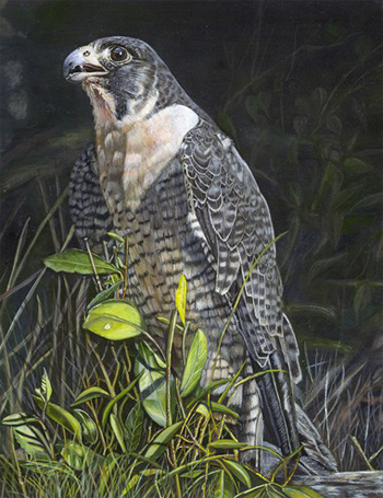 Best in Show (Traditional) - “The Hunter” - Cher Anderson - Acrylic on board - 14" x 18" - $794 - www.cherscreations.com