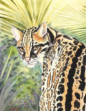 “The Wild Side” - Zsuzsanna Rossetter - Watercolor on Paper - 27.25" X 22.5" - $1,200 - http://rossetterstudio.com