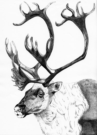 Traditional Winner - “Snow Scraper” Ayanna Proctor Graphite 24” x 18” $170