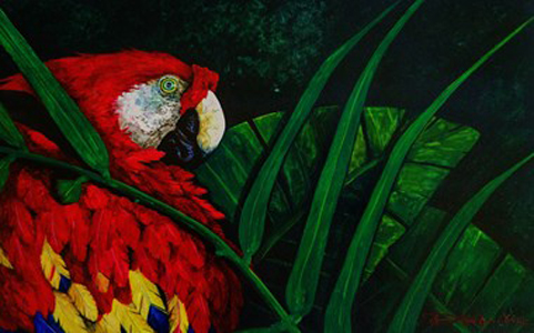 Honorable Mention (Traditional) - “Scarlet Macaw” – Dana Newman - Watercolor, 9.5" x 14.5" - $850 - dborzoi@gmail.com