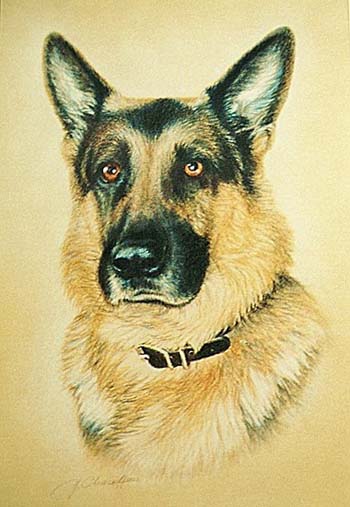 “David” – Youri Chasov – Pastel on Paper -30 x 40 - $1,000 - chasoffart@gmail.com