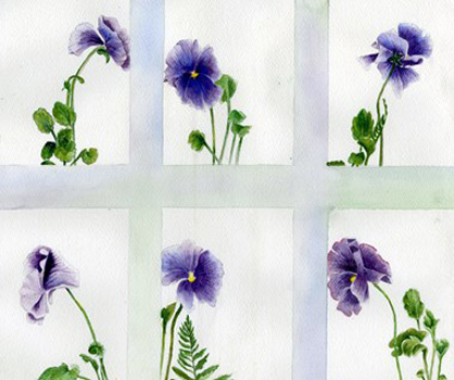 "For Robin", Diane Bragdon, Watercolor, 12"x16", NFS, http://www.watercolorsbydianem.com/