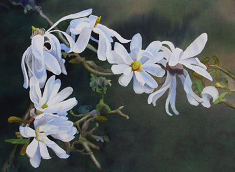 "Stages of Dignity", Amanda Schuster, Watercolor, 20"x24", $575, http://www.whitedogwatercolors.com/