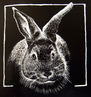 “Bunny” C Parker Scratchboard 4” x 4” $200