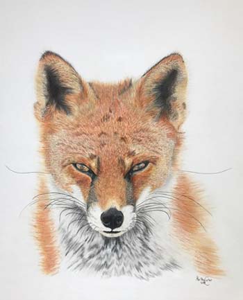 “Ochre” - Martha Carter - Colored Pencil on Strathmore Bristol Vellum Surface - 16" x 20" - $400 - martha.i.carter11@gmail.com