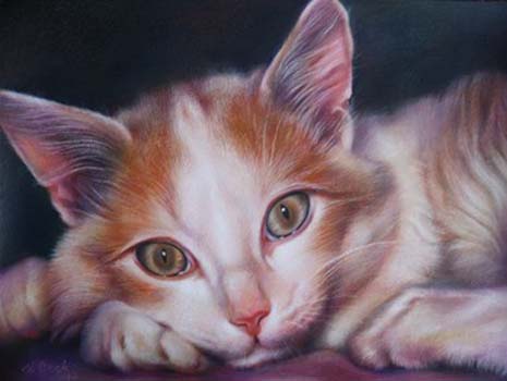 “In Memory of Skylar I” - Nathalie Beck - Colored Pencil on Canson Pastel Paper - 12" x 16" - $600 - theartistn@gmail.com