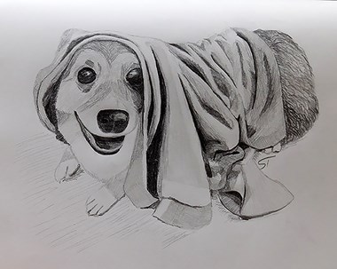 “Hot Dog” Silvia K. Tacheva Grigorova Graphite Pencil 8” x 10” $150