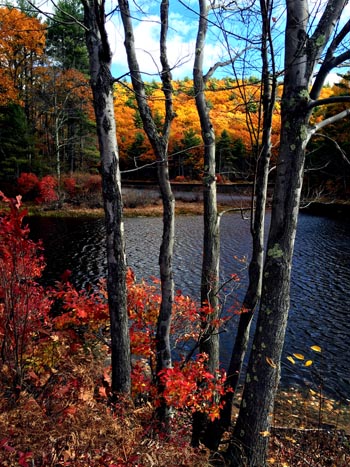“Amherst Autumn, 2016” - Mark Stenholm – Photo Print – 16” x 20” - www.stoneislandimages.com