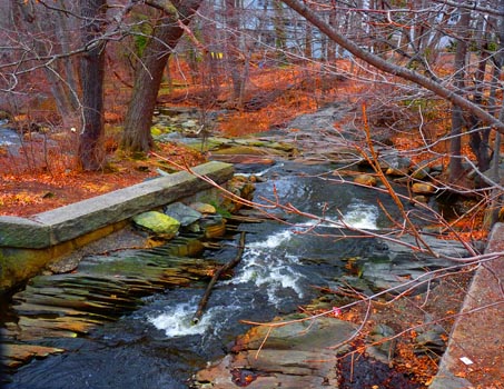“Autumn Stream” - Marcia Berg Haskell - Digital Photography – 13” x 19” - $250 - www.MarciasCreativeWorld.com