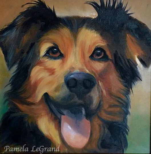 “Bosley” Pamela LeGrand Oil on Canvas 12" x 12” $450
