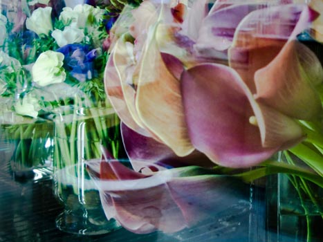 Venice Flower Shop Reflection - Archival Photograph on Paper - 16” x 21” - $475