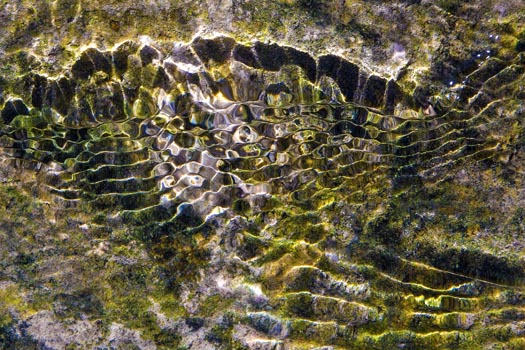 “Colorado Bend” - Patrick O'Brien – Metallic Paper Print – 10” x 15” - $150 - patnik98@aol.com