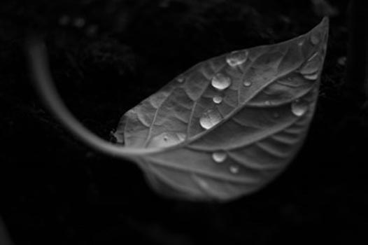 “Untitled” - Meaghan McCallum - Photo Print on Paper - 8" x 10" - $150 - www.ofthemoon.photography