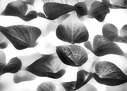 “Sweet Dreams” - Mac Titmus – Digital - 24" x 20" - $750 - http://augustusmac.com