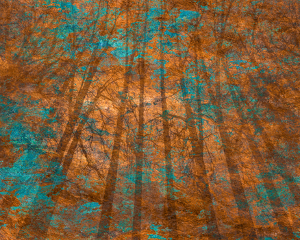 Awakening - Digital - 30” X 24” - $1200