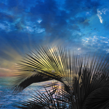 Fort Lauderdale Sunrise – Digital - 30” x 30” - $1-200