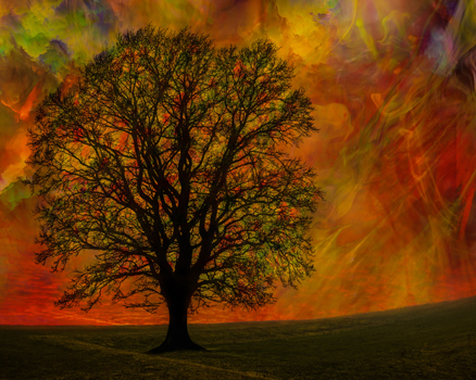 Repose - Digital - 30” x 24”- $1,200