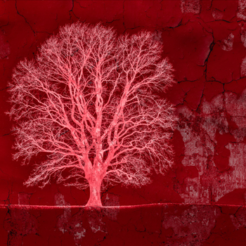 of Heaven and Earth - 30” x 30” - $1,200