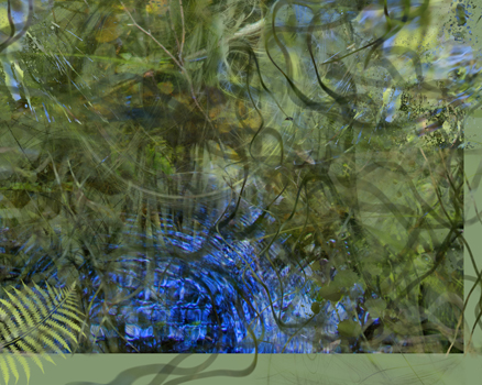 of Walden Woods - Digital - 30” x 24” - $1,200