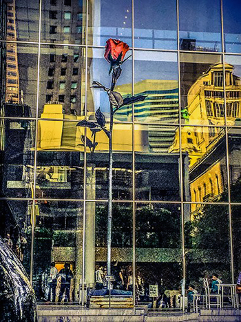 - NYC REFLECTIONS 2016- Bette Levine- Digital Photography- 8x10- $150- betteannphotography.com