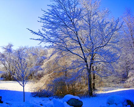 “New England Winter” - Marcia Berg Haskell - Digital Photography – 19” x 13” - $250 - www.MarciasCreativeWorld.com