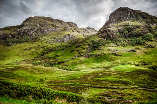 “Afternoon Mood” – Angela Jones – Photography - $200 - www.happytreephotography.com