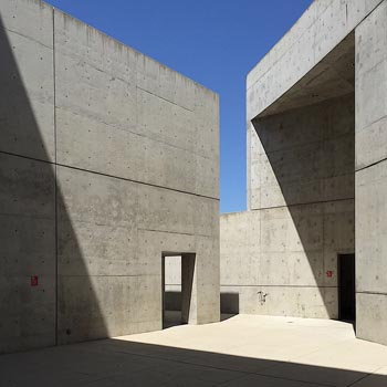 “Palo Verde 040915” - Rafael Rosas - Digital Photography - 12" X 12" - www.instagram.com/mmeviolette