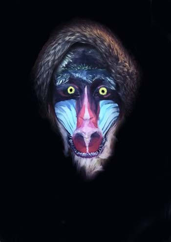 “Baboon” – Chriss Knight - Authentic Face Painting Captured on Photograph – 8” x 10” - $150 - www.facesbychriss.com