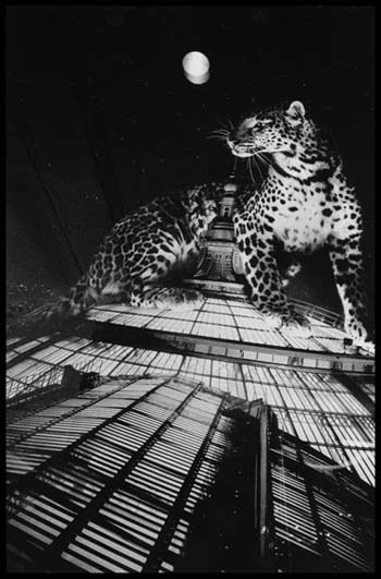 “After Midnight” - Liza Botkin - Silver Gelatin Print - 24" x 30" - $750 (framed) - www.lizabotkin.com