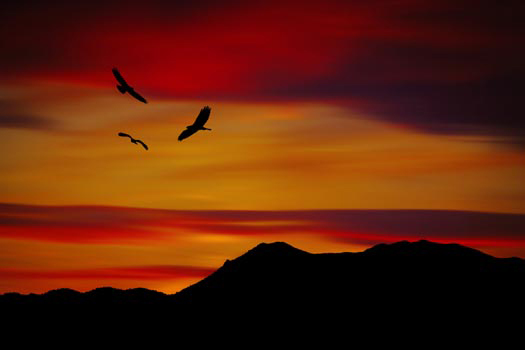 “Sunset Soaring” – Brady Lane – Photography - www.bradylane.photography