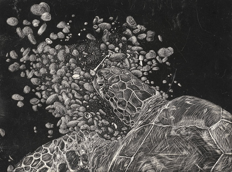 Black Sands Beach – Scratchboard - 9" x 12" - $1500