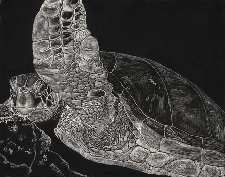 Deeper Than the Ocean – Scratchboard - 11" x 14" - $3000