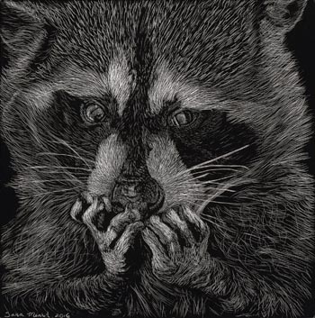 My Precious – Scratchboard - 6" x 6" - $600