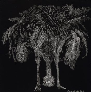 What?! – Scratchboard - 6" x 6" - $600
