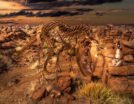 “The Master Magician” – Colin Killick - Digital Photo Artwork – 56” x 43” - www.driftingleaves.net