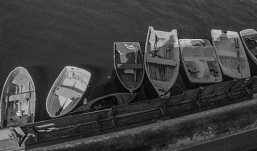 “All in a Line” - Christina Hitchcock - 35mm Print - 5" x 7" - $50 - www.christinahitchcock.com