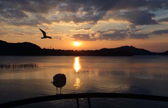 “Breakfast” - Siyuan Zhao - Digital Photo - 11" x 17" - $800 - caicai222@126.com