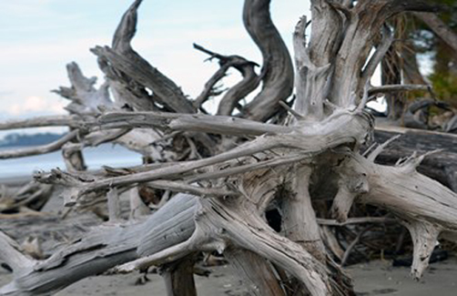 U. “Twisted Past” – Tommy Crane - Digital Photograph - 11" x 17" - $150 - tjcrane@valdosta.edu