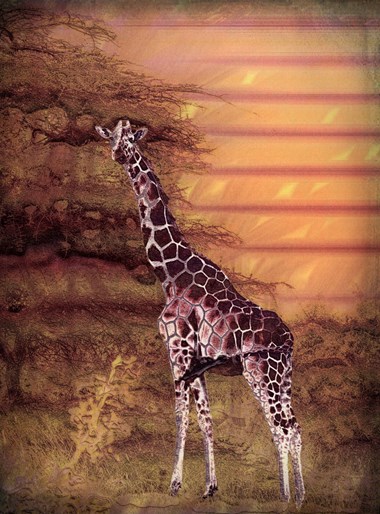 Digital & Photography Winner - “African Rainbow” Jean Burnett Digital Art from Photography 9” x 12” $530