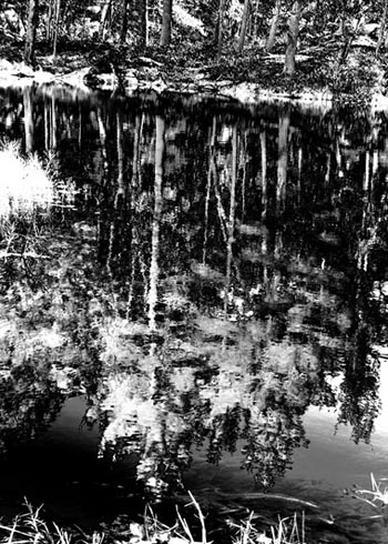 “Harvard Landscape #2” - Marcia Berg Haskell - Digital Manipulated Photograph - 19" x 13" - $250 - http://MarciasCreativeWorld.com