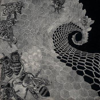 Vanishing - Scratchboard - 12" x 12" - $3000