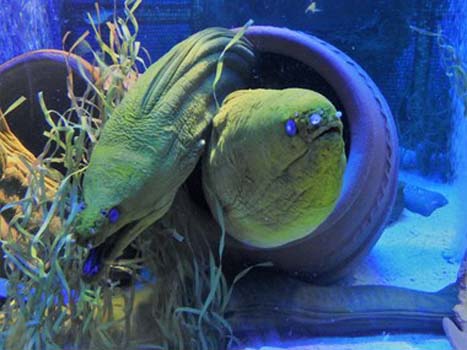 “What’s the Password?” – Kelly Sullivan – Photography – Size & Price Negotiable - SullyOFlorida@gmail.com