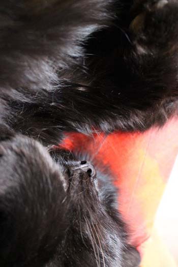 “Decompression” - Gerald Mounier - Photography - http://geraldmounier.wixsite.com/creations