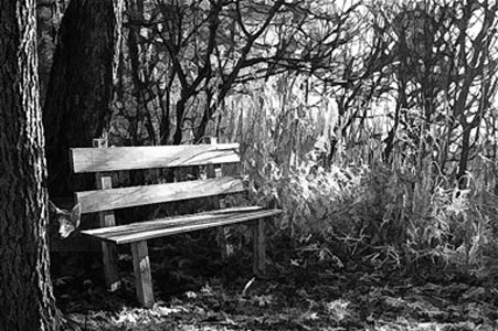 “Undercover” - Kathleen Greenwood – Photo Print Mounted on Acrylic - 16” x 24” - $461 - https://artboja.com/art/j55odc